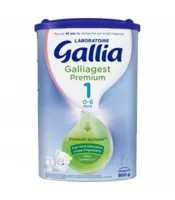 Gallia Galliagest Premium 1 Lait En Poudre B/800g à TIGNIEU-JAMEYZIEU